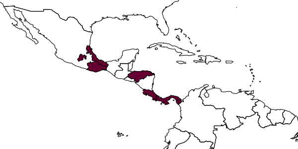map of Cylloceria alvaradoi     Gauld, 1991